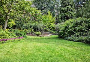 Optimiser l'expérience du jardin à Bouxieres-sous-Froidmont