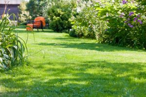 travaux jardin et paysage Bouxieres-sous-Froidmont